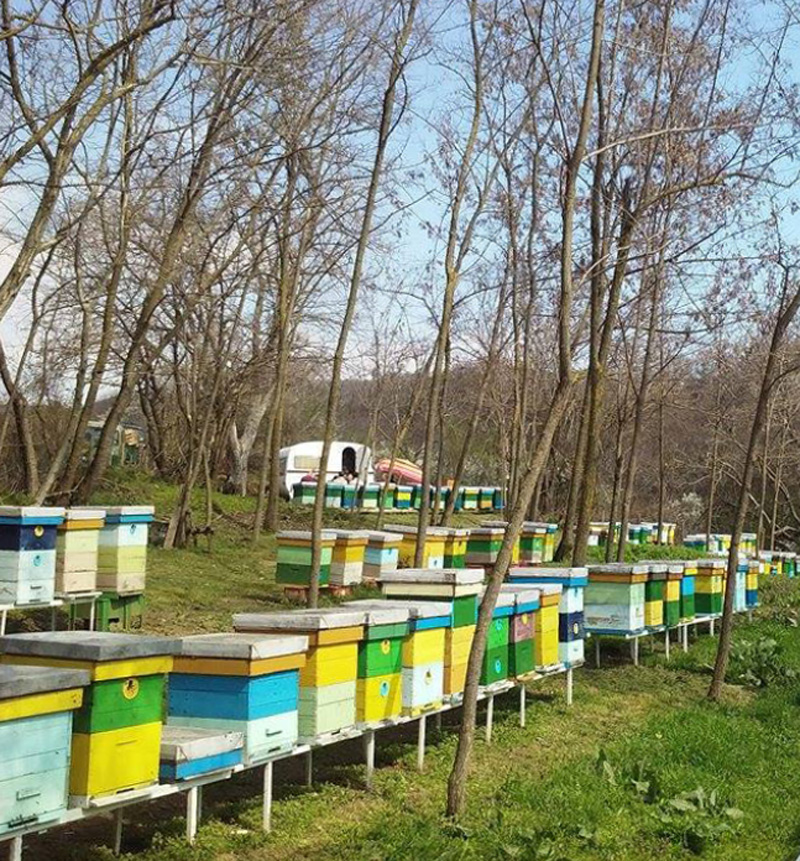 Mahalliy ishlab chiqarish